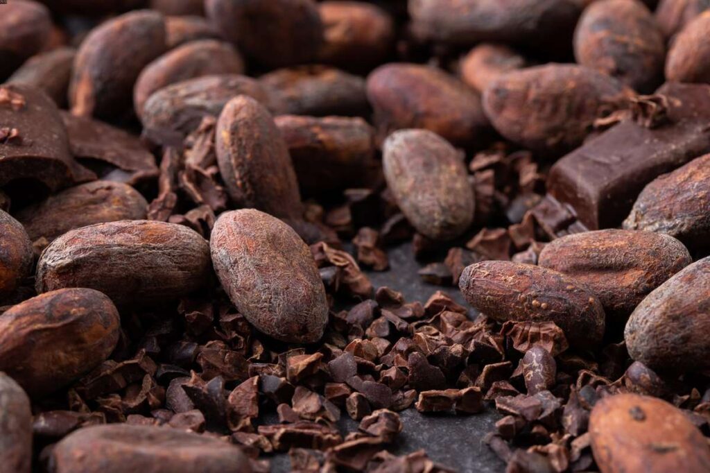 Znane rodzaje kakao