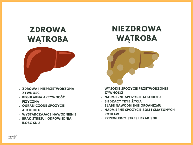 Zdrowa i niezdrowa wątroba